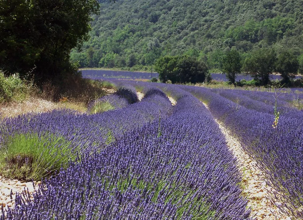 Les Hauts De Greoux Frankreich